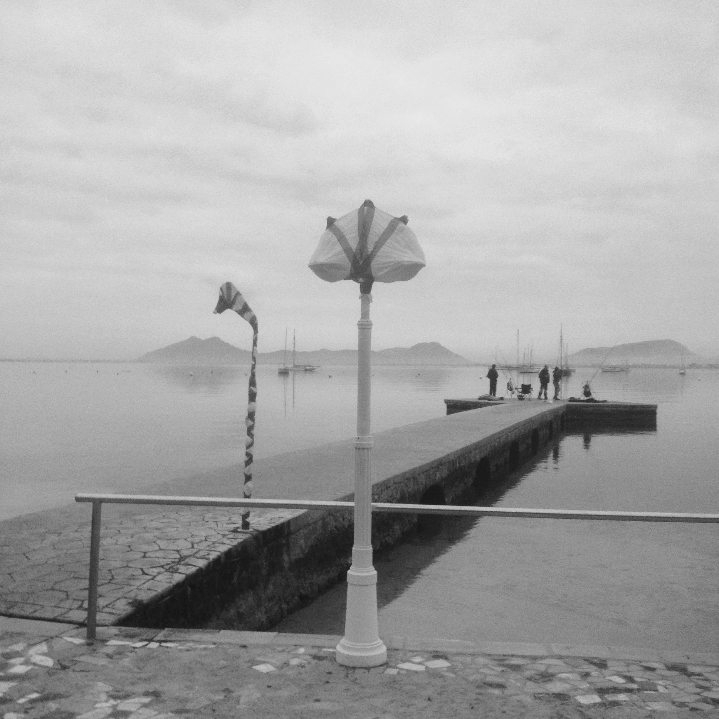 Terrasa Jacques Port de Pollenca Balears 6 janvier 2015